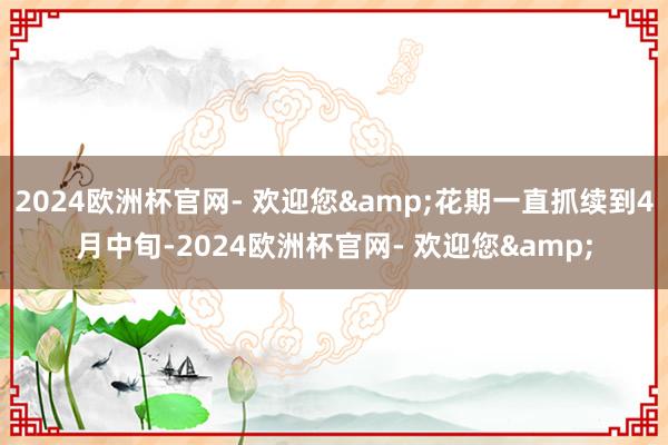 2024欧洲杯官网- 欢迎您&花期一直抓续到4月中旬-2024欧洲杯官网- 欢迎您&