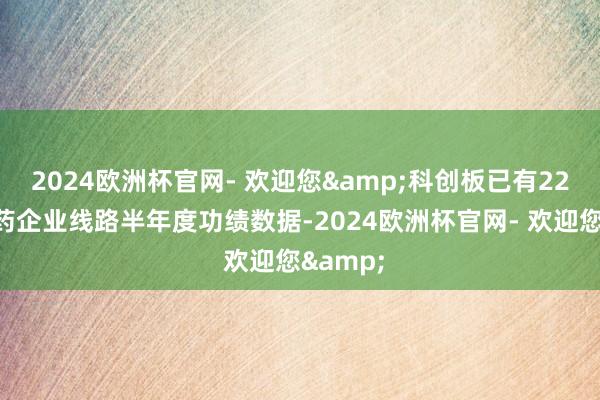 2024欧洲杯官网- 欢迎您&科创板已有22家立异药企业线路半年度功绩数据-2024欧洲杯官网- 欢迎您&