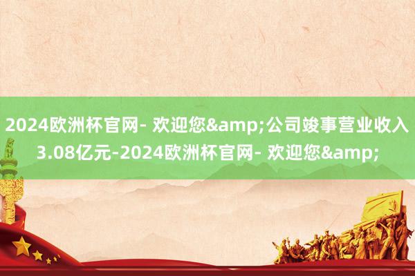 2024欧洲杯官网- 欢迎您&公司竣事营业收入3.08亿元-2024欧洲杯官网- 欢迎您&