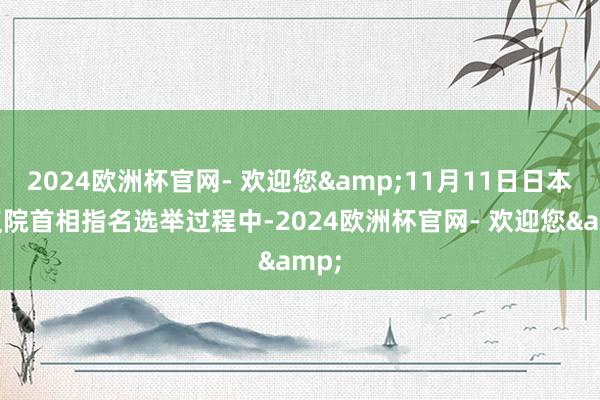 2024欧洲杯官网- 欢迎您&11月11日日本众议院首相指名选举过程中-2024欧洲杯官网- 欢迎您&